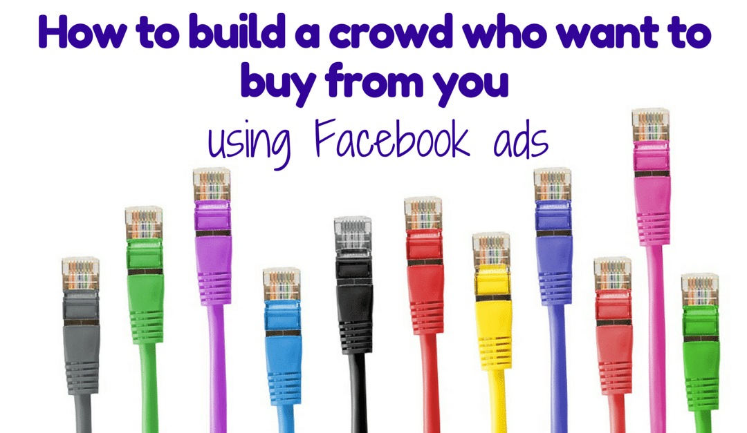 How to build a crowd who want to buy from you, using Facebook advertising