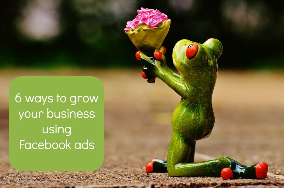 6 Ways to Grow your Business with Facebook Ads (that you might not have thought of.)