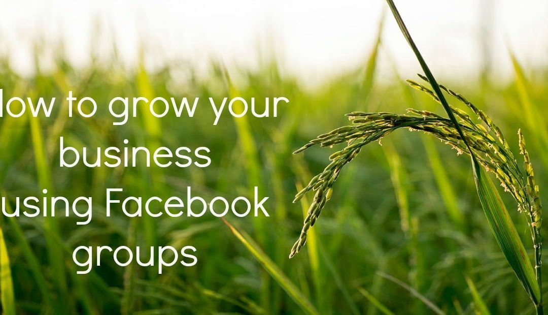 10 steps to grow your business using Facebook groups